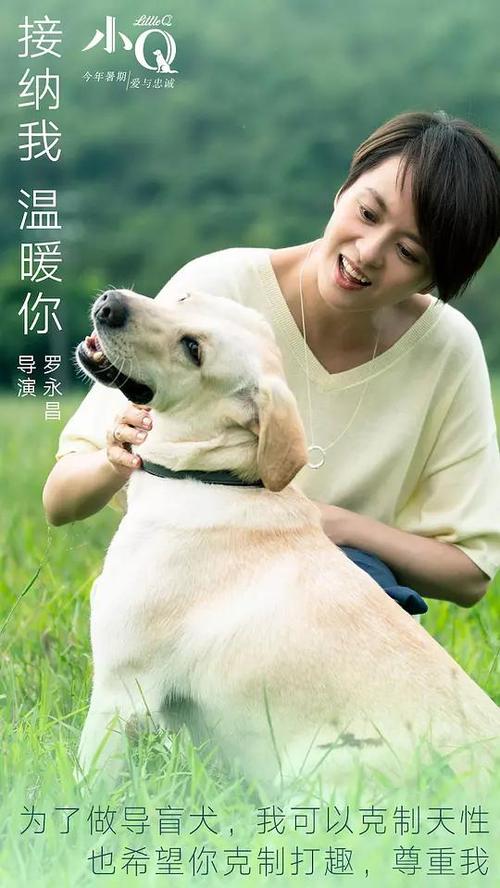 只是高中毕业能考什么证书?